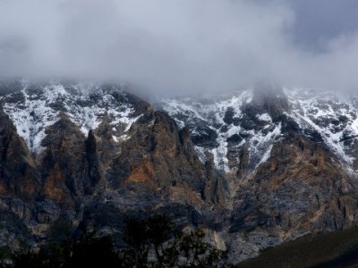 微信花呗还款有新帮手！富信掌柜智能管理让信用更“省心”