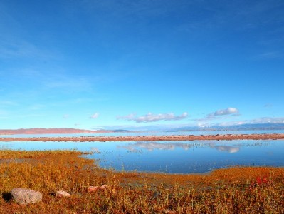 白条花呗互套风险多？出财小神教你合规用信避“坑”