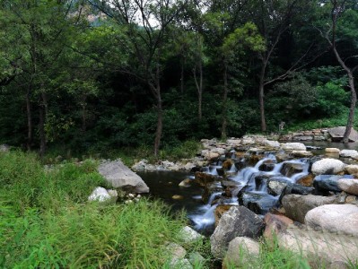 死者花呗债务谁来担？安出掌柜解读遗产清偿那些事