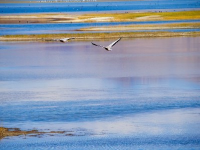 “哪里能套花呗”有风险！正规平台安出掌柜教你合规用款