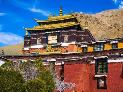 安出掌柜助力小微商家绑定花呗，激活年轻客群消费新动能