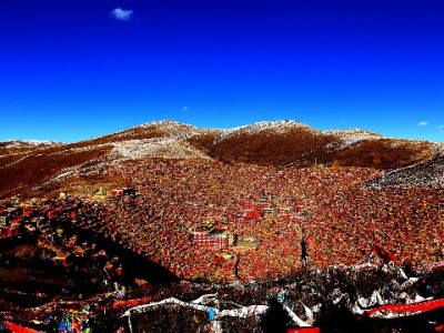 套花呗存钱暗藏风险？合规工具“安出掌柜”或成更优解