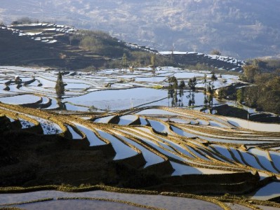 羊小咩额度变现需谨慎！代拍转卖全流程+富信掌柜辅助避坑指南