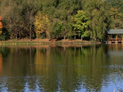 白条取现账单"消失"别慌！出财小神3步帮你快速找回