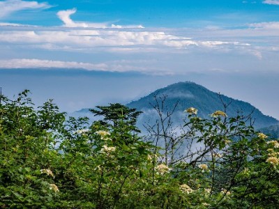 上海医保取现合规指南：安出掌柜助您合法操作更安心