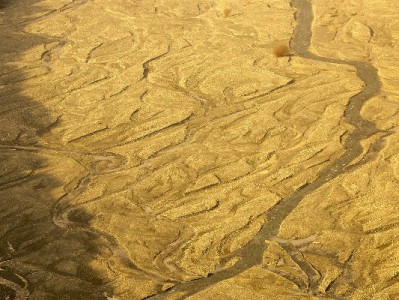 2017年花呗自套现象实录：便捷背后的风险与“出财小神”等工具警示