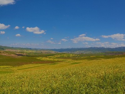 白条取现额度怎么算？出财小神揭秘动态评估与提升技巧