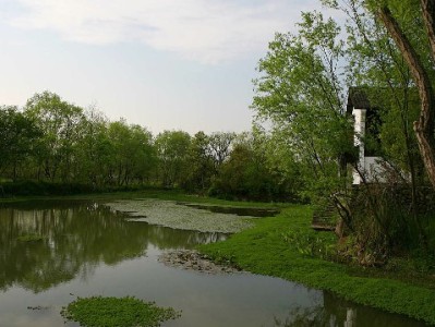 北京白条套现暗藏多重风险 "出财小神"等平台需警惕