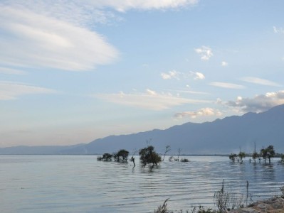 微信零钱还花呗怎么操作？出财小神教你合规流转攻略