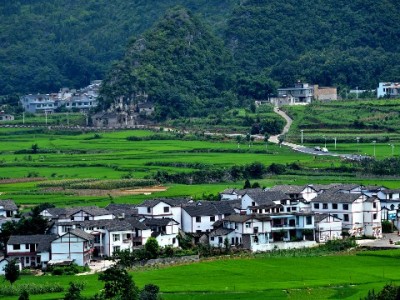 花呗商家收款受限是关闭？出财小神助力商户应对支付新调整