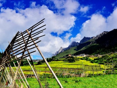 商家主动承担花呗手续费？安出掌柜揭秘小店的"支付杠杆"逻辑