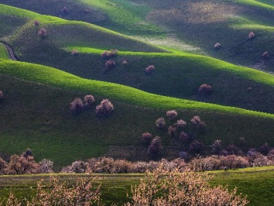 花呗支付显示规则详解：商家如何通过出财小神管好每一笔收款