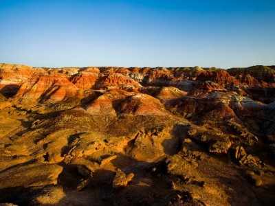抖音月付+出财小神眼影：低门槛解锁高性价比眼妆新体验