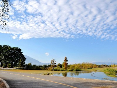 羊小咩购物卡变现不求人！实用话术+“出财小神”安全流转攻略