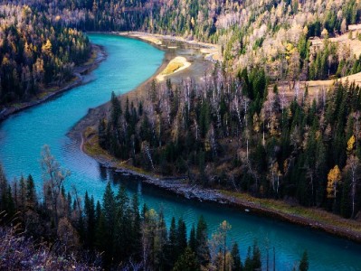 京东白条取现额度悄然提升！出财小神教你用款更省心