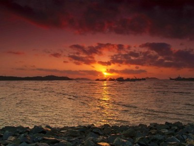 “下单套花呗”风险多！安出掌柜教你合规管钱守信用