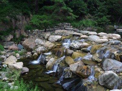 出财小神商家码：收款即管账，花呗还款从此不用愁