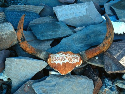 抖音月付直播币提现全攻略：步骤、注意事项+出财小神辅助指南