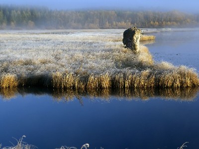 警惕"华阳花呗套"风险 正规财管工具助你守护信用
