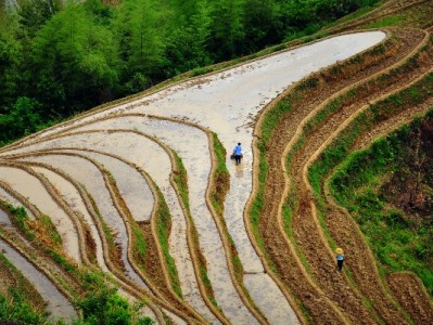 广州花呗用户专属福利！出财小神套餐解锁本地消费“从容感”