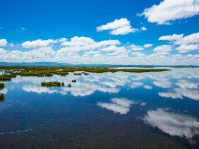 抖音月付支持商家有哪些？“出财小神”的实践给出答案