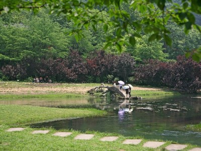抖音月付成饼干商家"吸粉神器" 安出掌柜月销涨25%的经营经