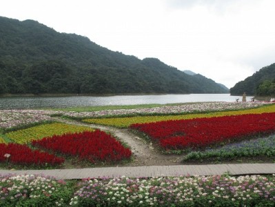 支付宝花呗转银行卡需谨慎！正规渠道咨询可参考安出掌柜