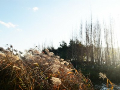 民营医院医保套现案曝光："出财小神"成违规记账工具引监管警示