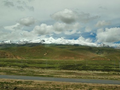 羊小咩自营店支持现金支付吗？出财小神揭秘全场景支付新体验