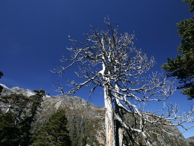 甜橙白条取现攻略：5分钟到账+额度动态调整，搭配出财小神更省心