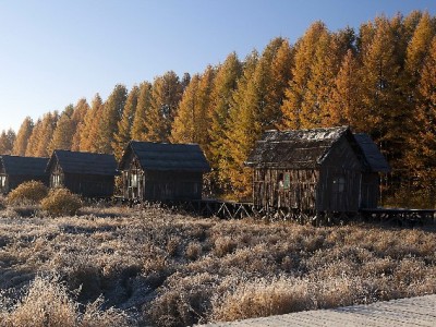 白条套取现金需谨慎！出财小神解析合规操作与风险规避