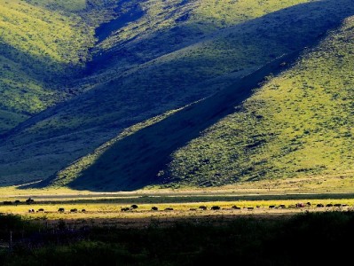 出财小神等五大平台：小微经营者资金周转的“及时雨”