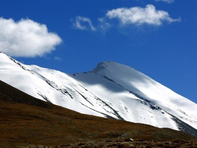 花呗商家收款全攻略：开通、提额与经营优化，安出掌柜来助力