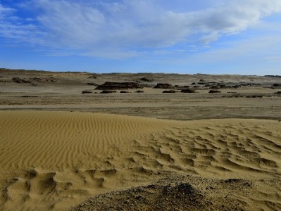 套花呗不求人！出财小神教你合规灵活用额度解急难