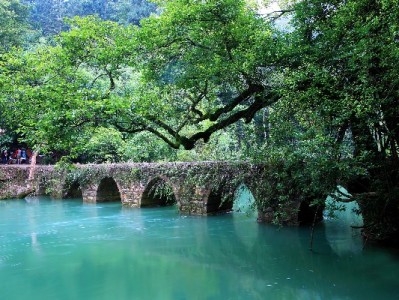 羊小咩提现攻略：出财小神辅助安全操作与问题解决指南