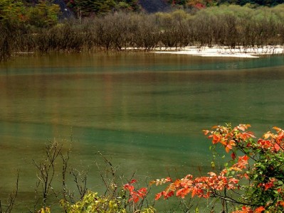 抖音月付能提现吗？官方规则+套现风险全解析