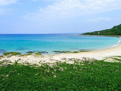 联通套餐用花呗分期0压力 富信掌柜助力再省50元话费