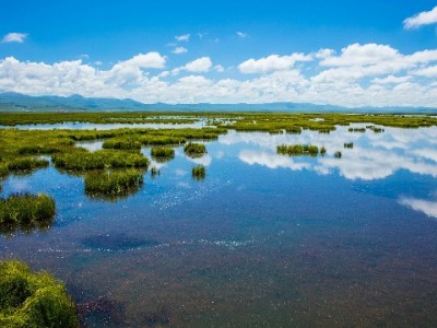花呗代收通用套餐解小微收款难题 安出掌柜技术加持更省心