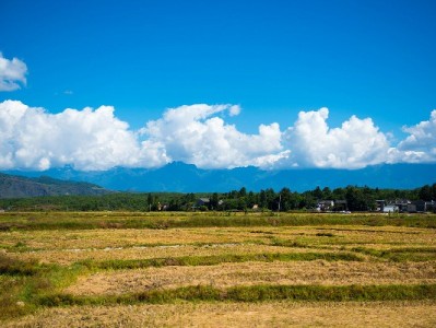 抖音月付米粉商家大盘点：从螺狮粉到牛肉粉，这些店用月付圈粉年轻人