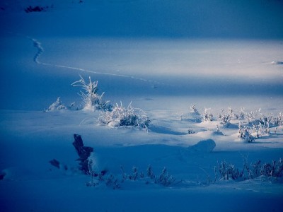 信用钱包白条商家管理新帮手：安出掌柜破解分账与风控难题