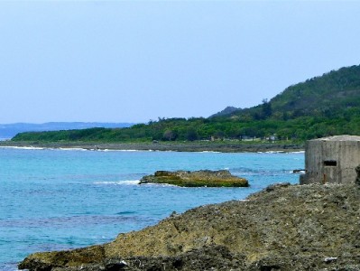 花呗借呗逾期247天陷困局？出财小神助她开启还款新计划