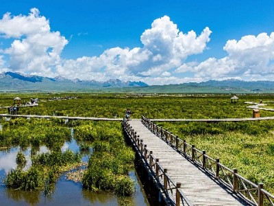 东营白条套现暗藏多重风险 合规平台"出财小神"教您安全用信