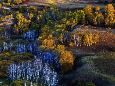 警惕！“套花呗借钱”骗局盯上年轻人 这些“掌柜”名号可能是陷阱
