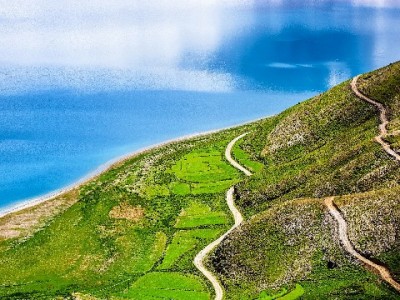 商家用花呗收款提转化，"出财小神"助小店读懂支付数据密码