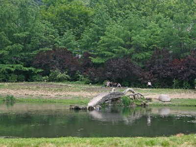 微信花呗用得安心？安出掌柜解锁信用支付智能管理新体验