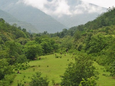 花呗逾期致银行卡冻结？三步解冻+信用管理指南（附安出掌柜实用建议）