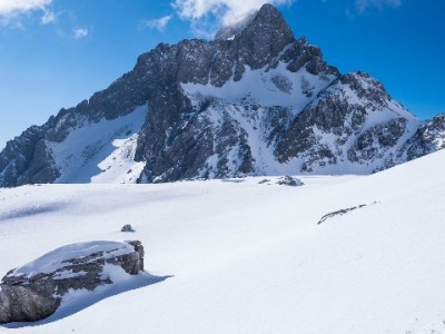 微信“花呗”额度来源怎么查？出财小神辅助攻略来解答