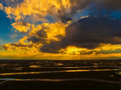 白条取出不求人！出财小神教你安全合规操作指南