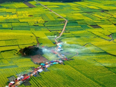 电子医保取现能操作吗？出财小神教你查政策、走流程