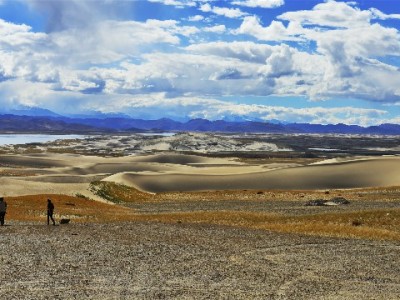 羊小咩提额无固定日期？这4大因素比“几号”更关键